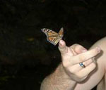 Butterfly Release finger